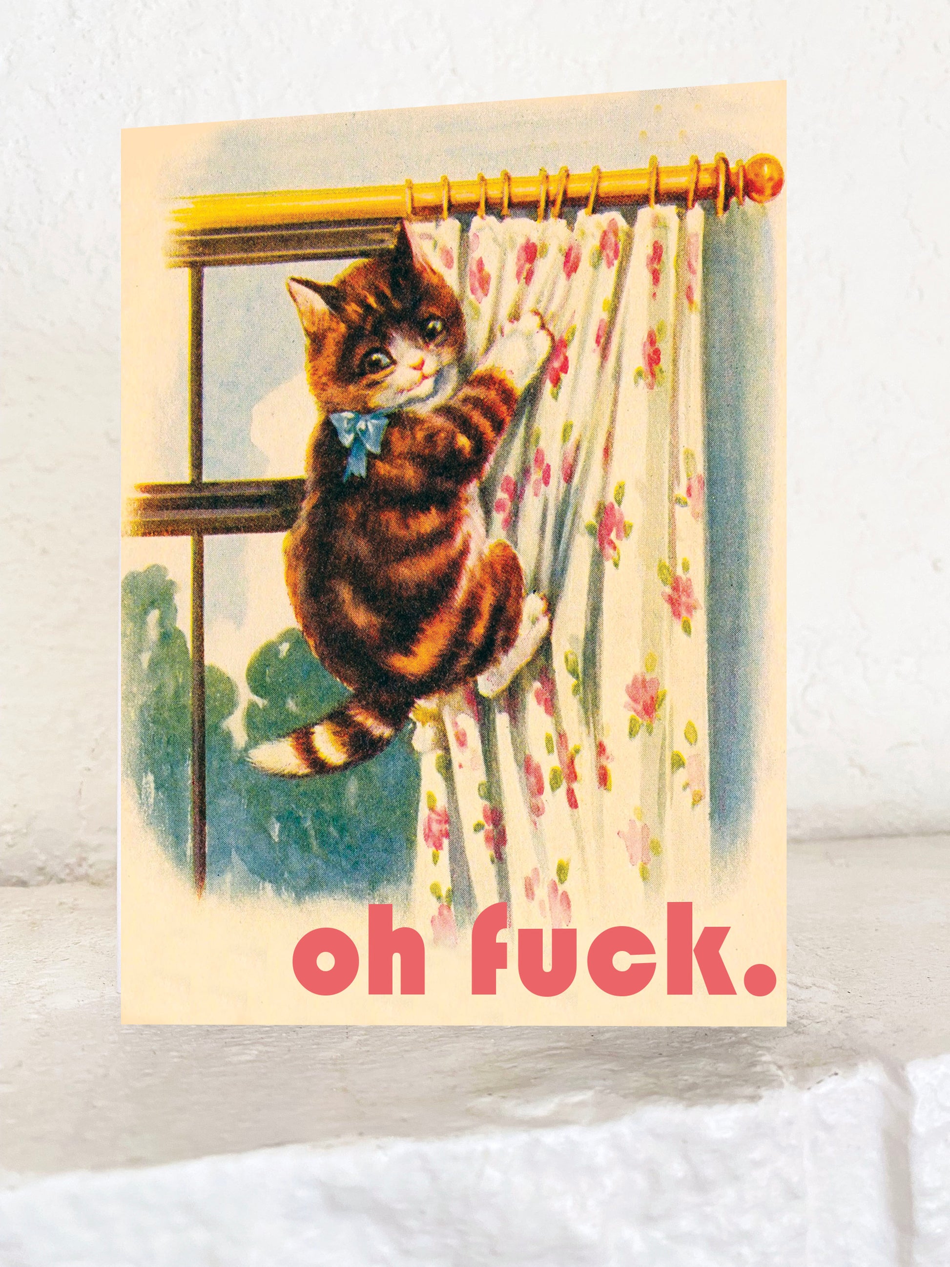 funny cat kitten on curtain retro vintage style animal silly snarky card with pink text oh fuck sympathy sorry cute greeting card