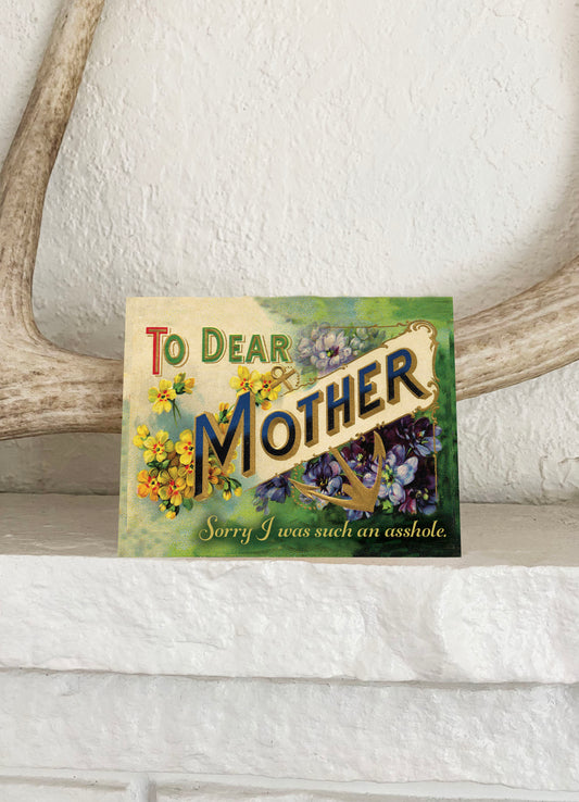 funny greeting card mother's day mom's birthday just because mom front says To Dear Mother Sorry I was such an asshole joke coin laundry vintage floral anchor yellow green purple
