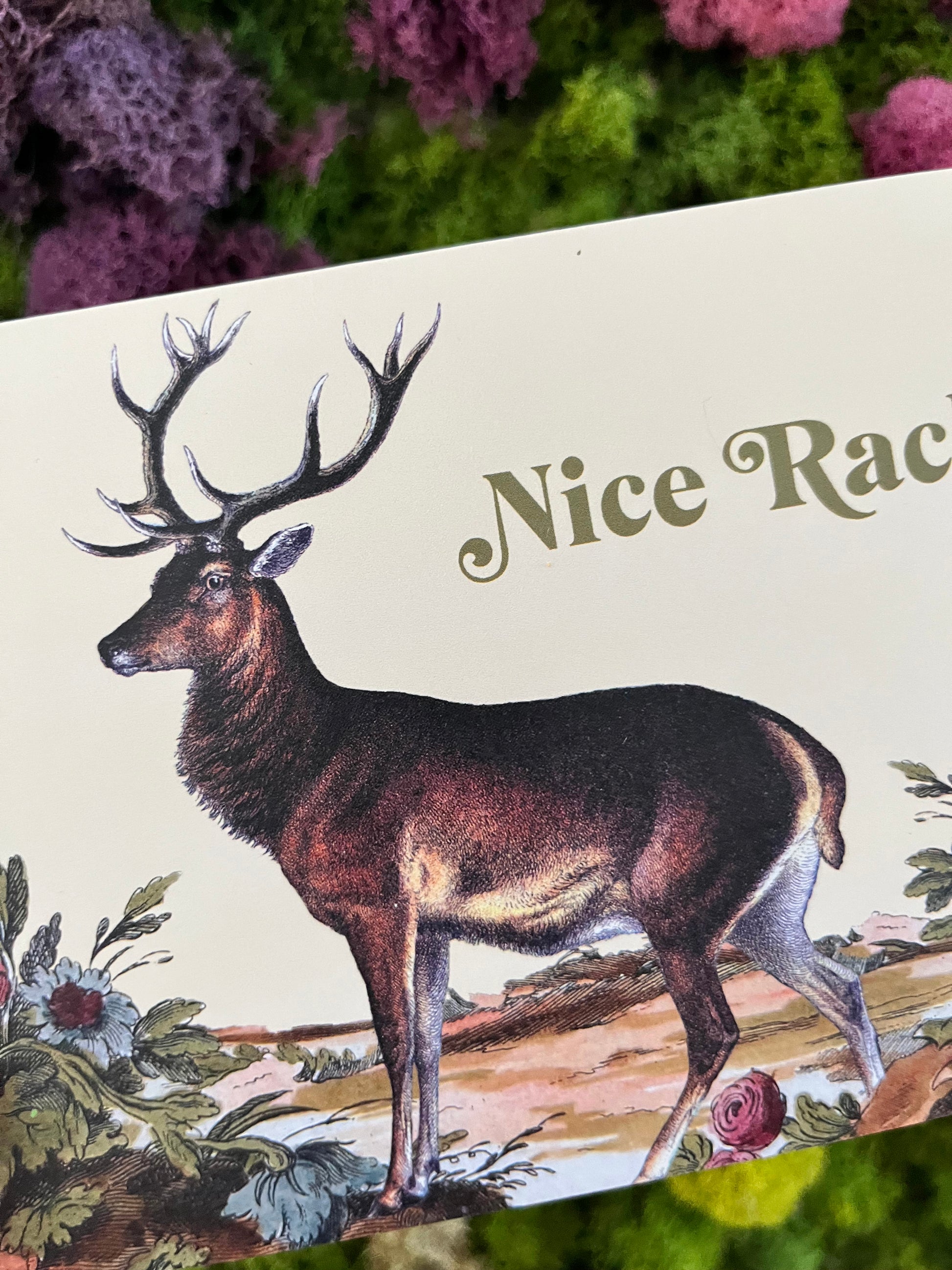 greeting card deer floral landscape vintage color pallet buck front text says Nice Rack blank inside 