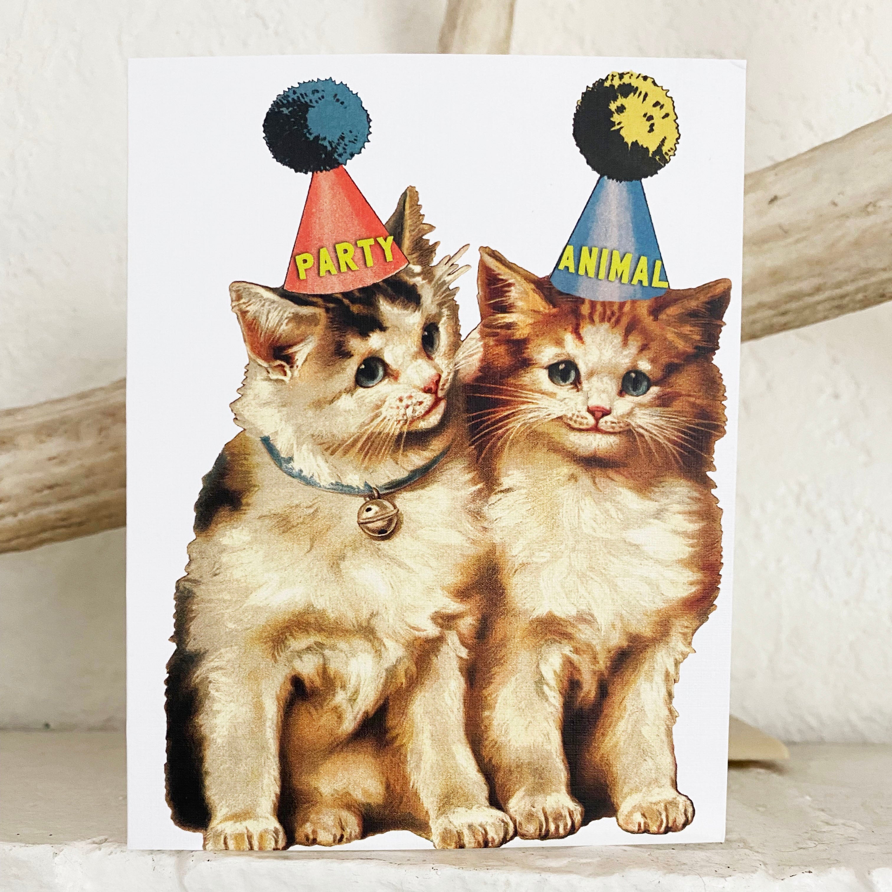 Party Cat Sticker Birthday Party Cats