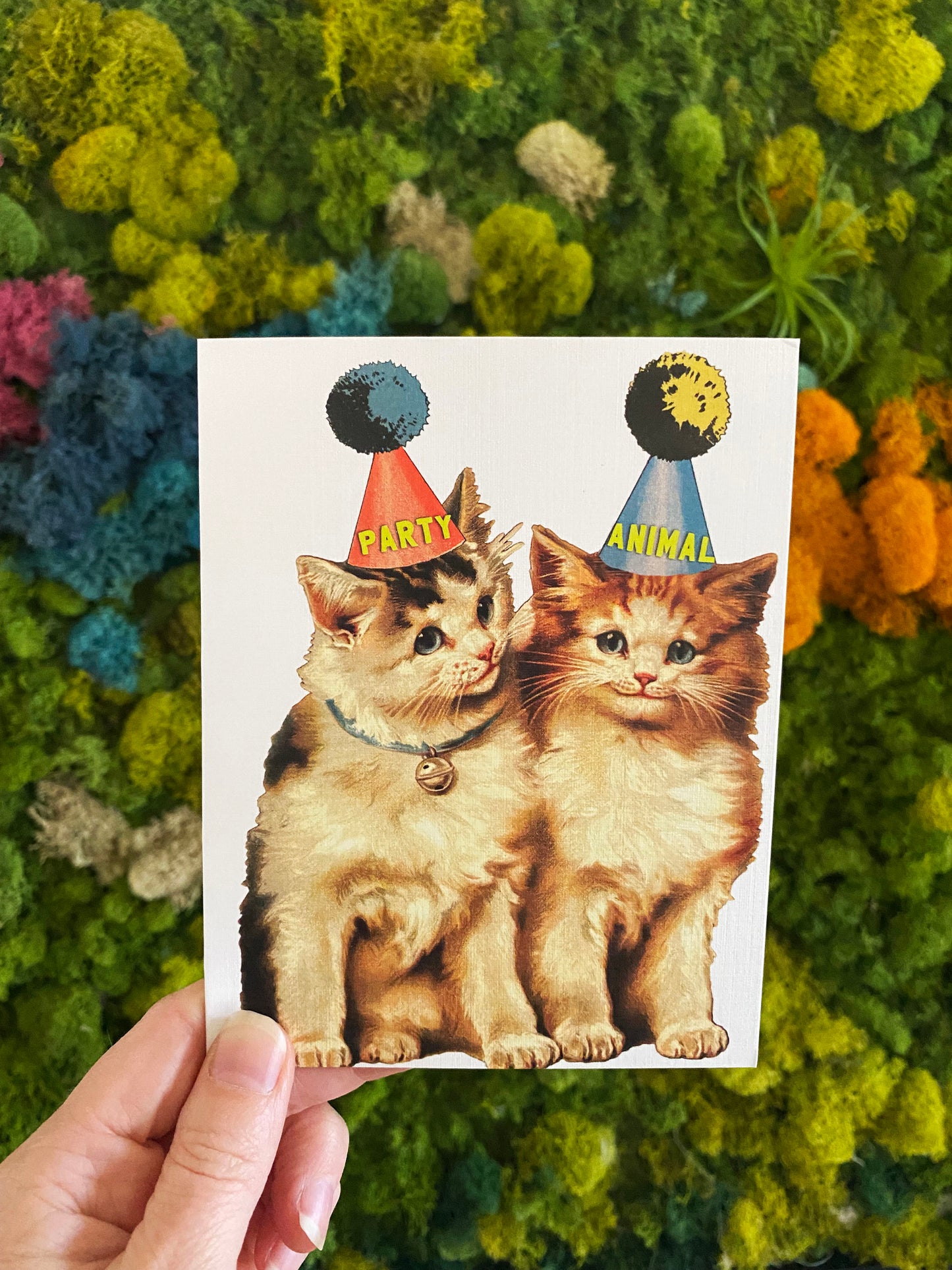 greeting card stationary snail mail retro kittens party animal write a letter blank hat bestie grandma