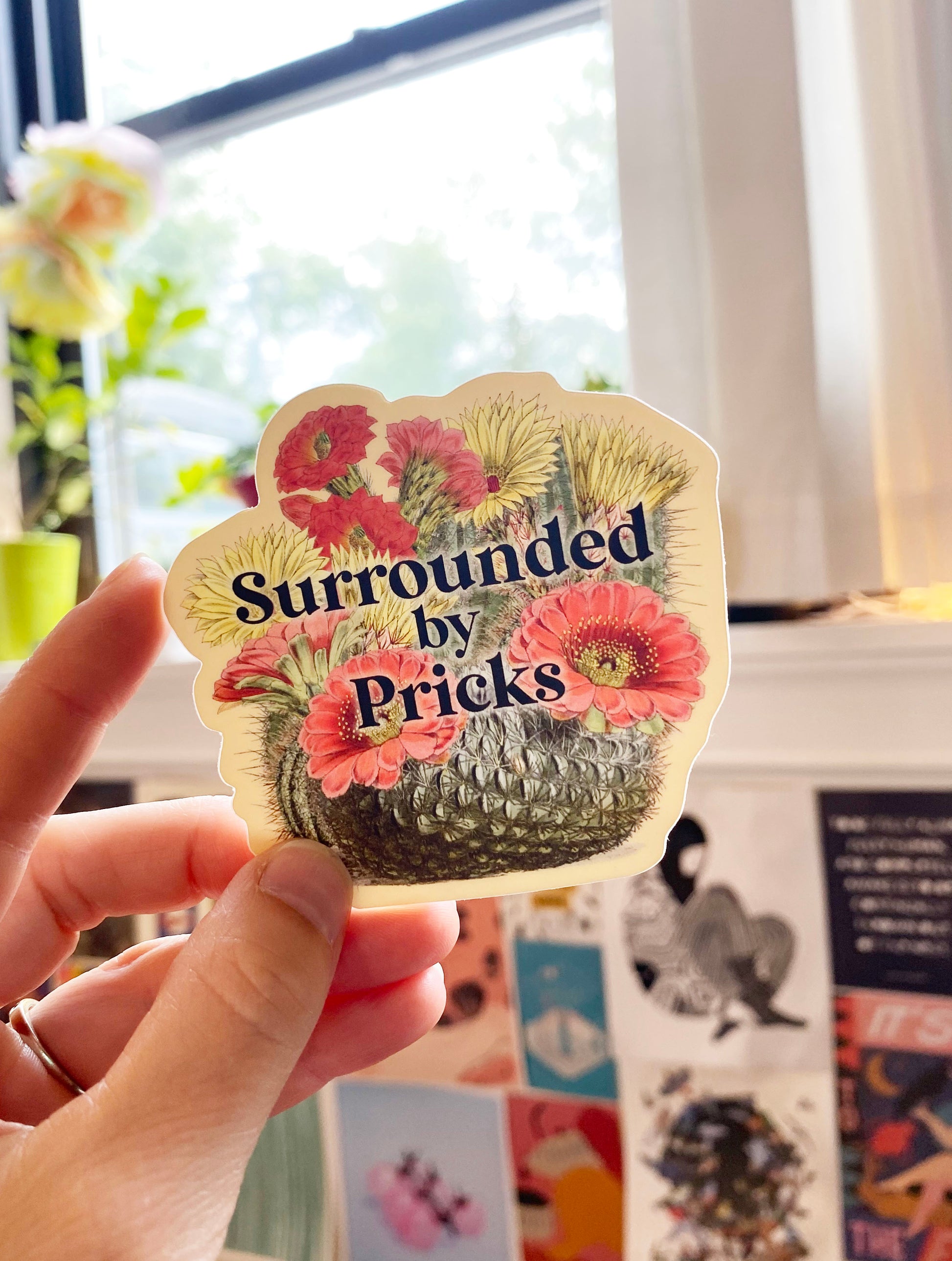 funny sticker surrounded by pricks cactus succulent desert nature flowers red yellow green coin laundry montana stickers