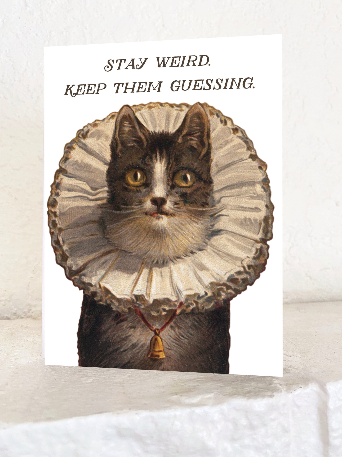 cute greeting card blank inside says Stay Weird Keep Them Guessing all purpose mail cat kitty vintage puffy collar bell brown cream funny bestie best friend sister brother 