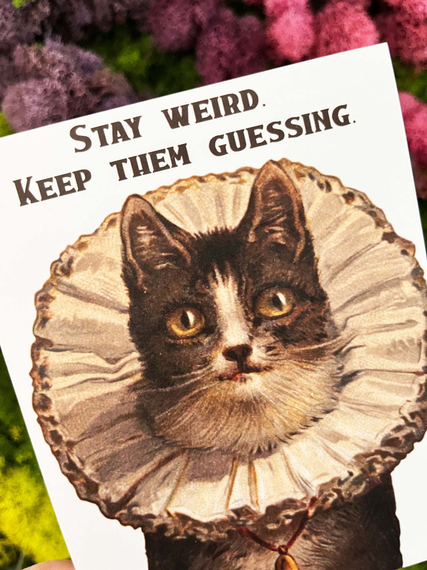 send mail to your friends with this cute blank note card weirdo stay weird keep them guessing mother's day father's day birthday congratulations celebration handwriting kitty