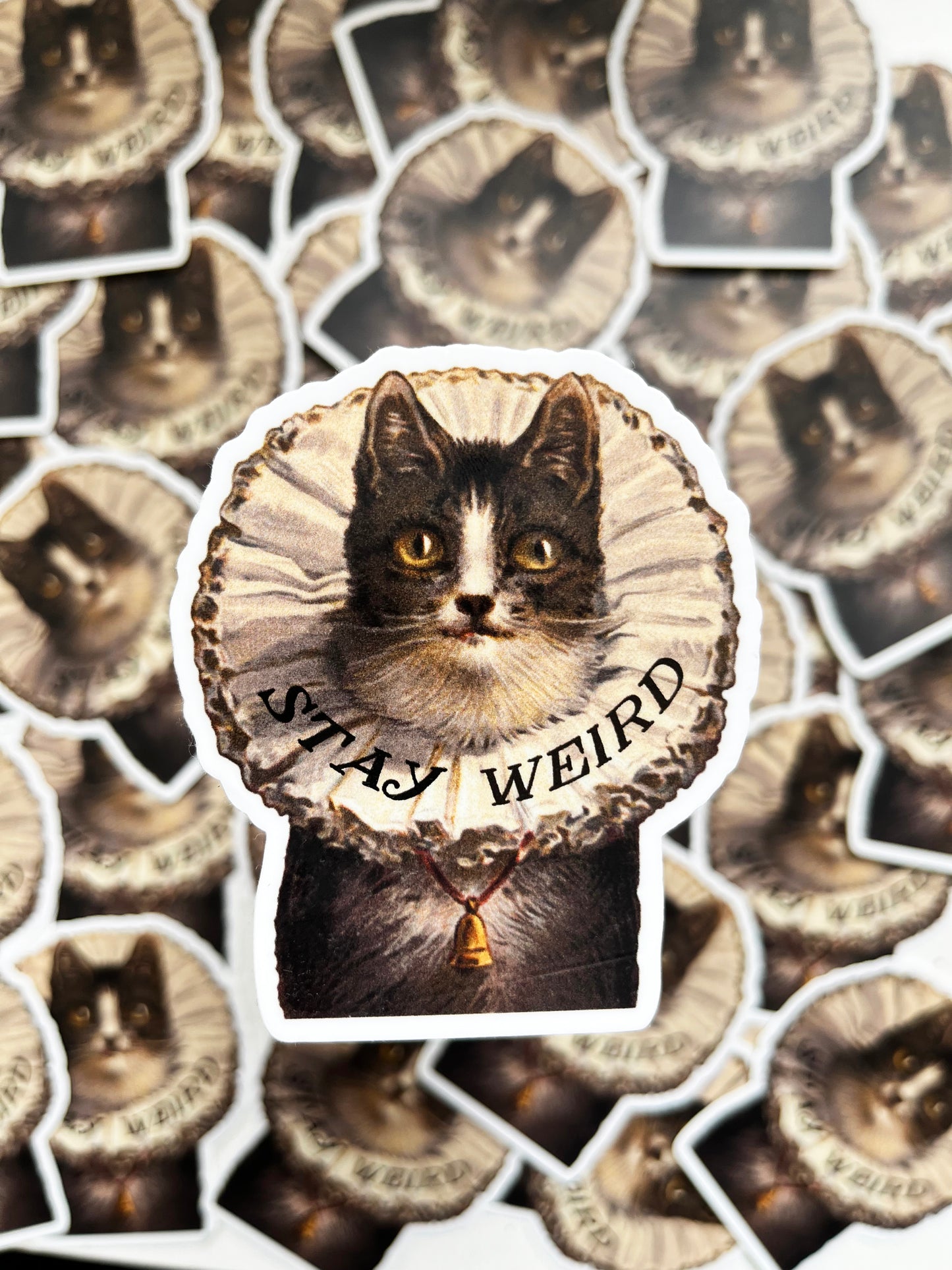 stay weird kitty sticker vintage style cat sticker stay weird funny stickers coin laundry montana