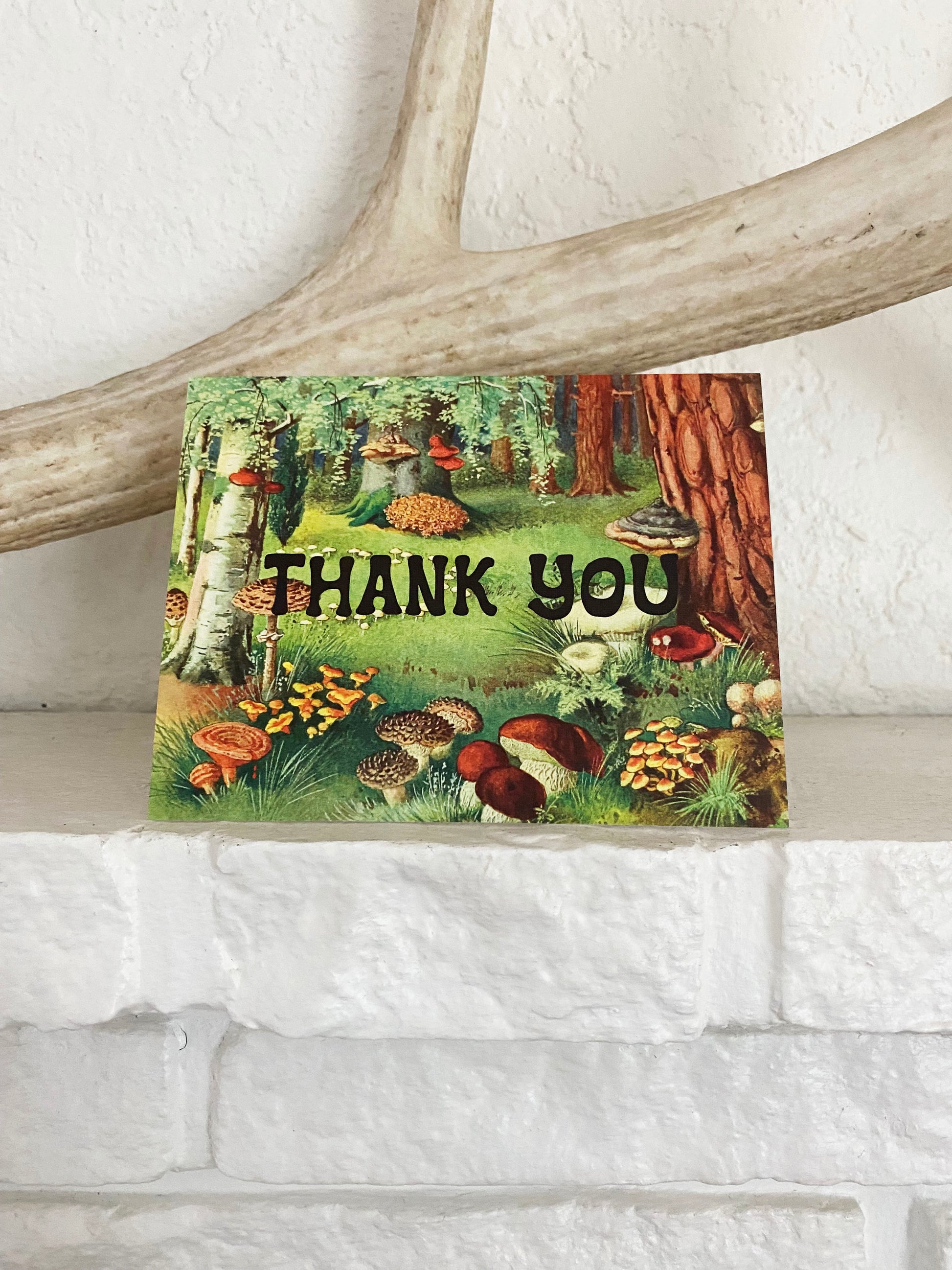 thank you card for nature animal outdoor lover mushroom hunting hunter search take a hike trees redwood aspen grassland green fun 