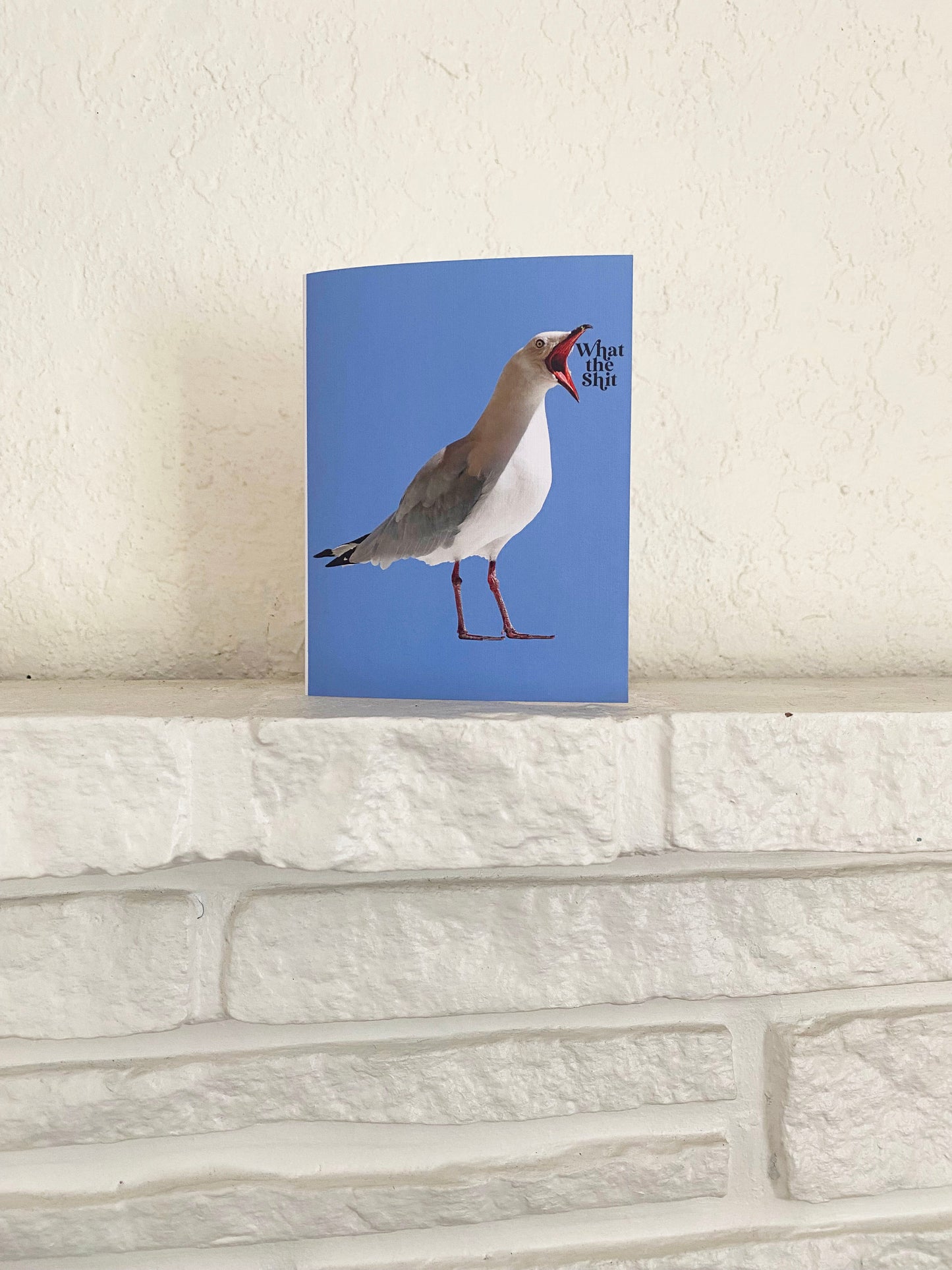 cute notecard with fun greeting what the shit funny any occasion bird seagull yelling cute retro style cards coin laundry montana funny cards